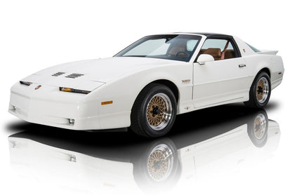 Glass T-Top Reconditioning Service -3rd Gen Camaro Firebird T/A IROC