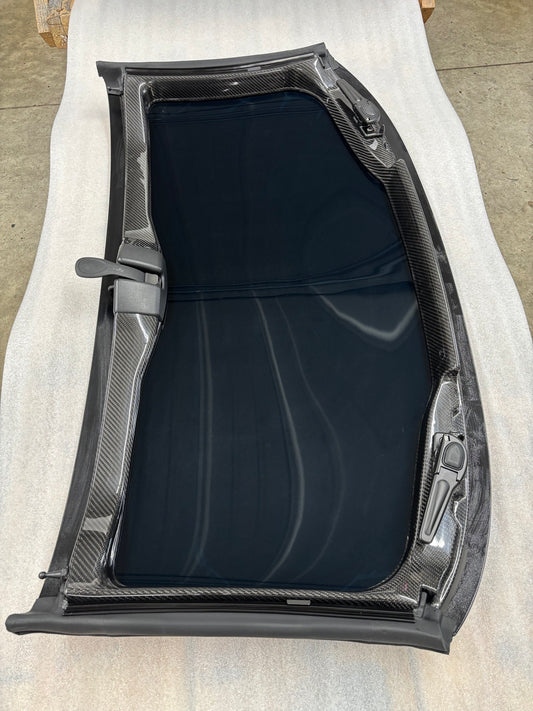 NEW Carbon Fiber Frame w/ NOS GM Lens 97-04 C5 transparent (#11)