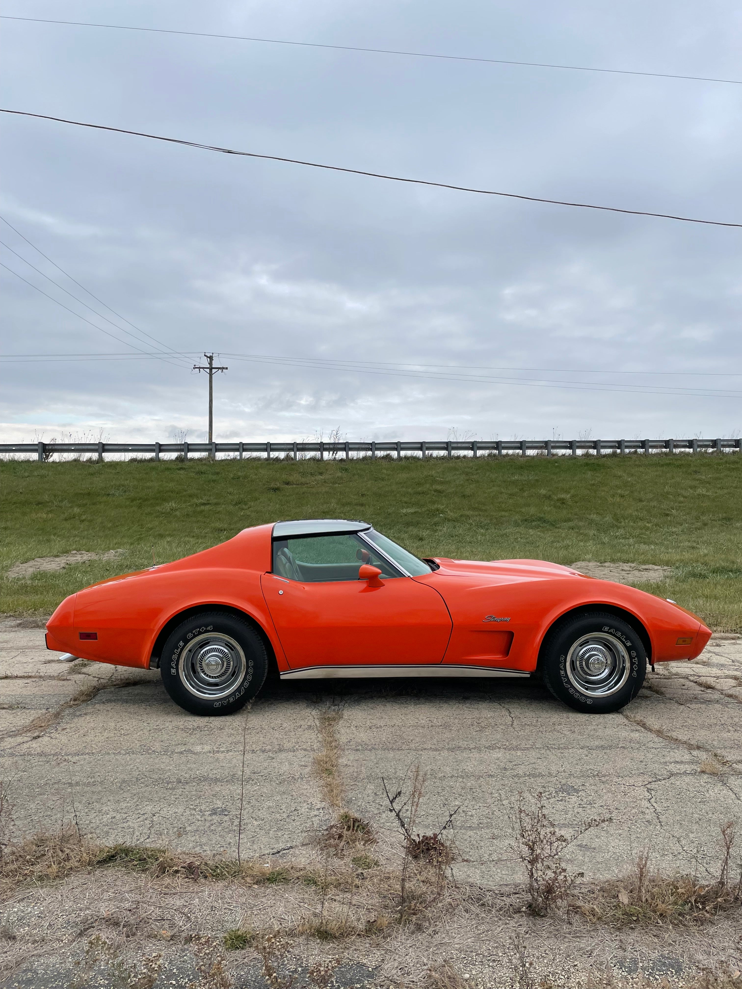 Late77-82 Corvette LOF Mirrored Corvette T-Tops Pr./ GM LIC – Melrose T-Top  International