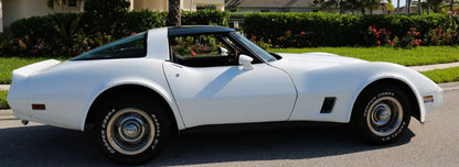 Late77-82 Corvette LOF Tempered Galaxy Glass T-Tops